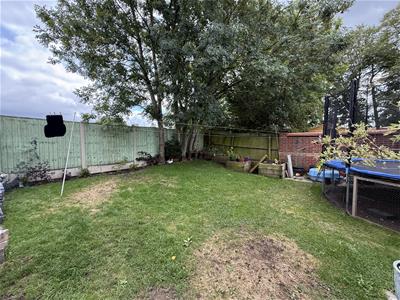 Picture 24